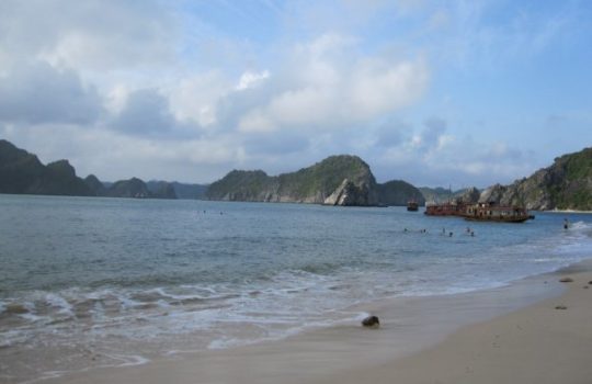 Cat Ba Island Monkey Halong Bay