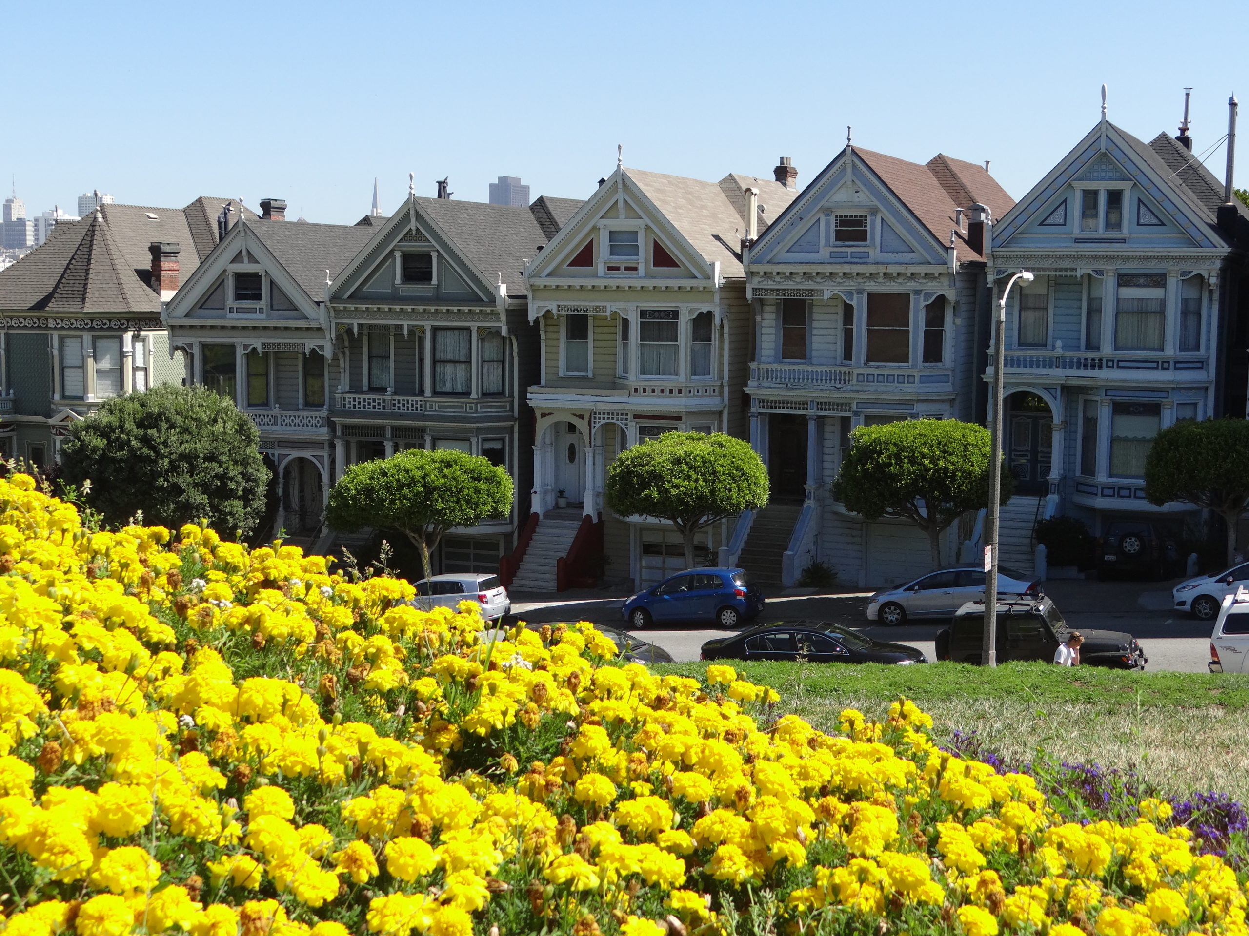 The Painted Ladies San Francisco