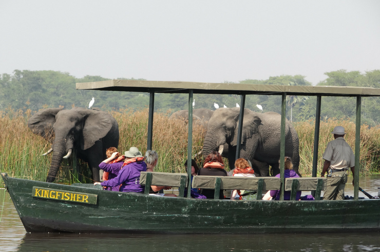 Liwonde National Park Malawi