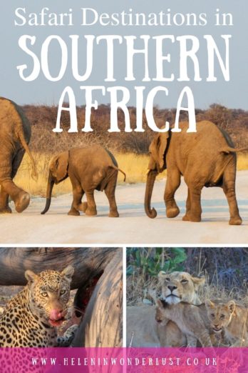 Safaris in Southern Africa - The Best Places to Visit