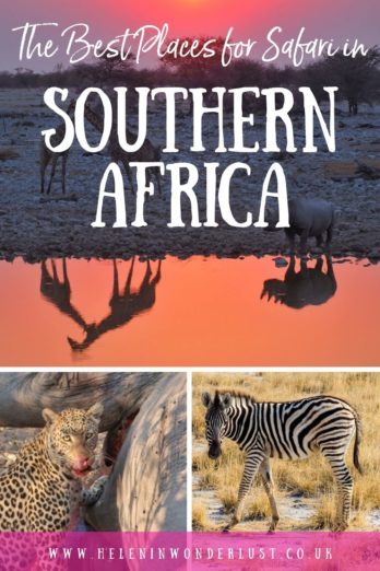 The Best Places for Safari in Southern Africa