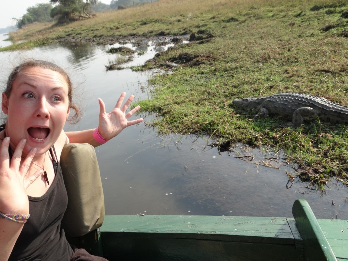 Liwonde National Park Crocodile