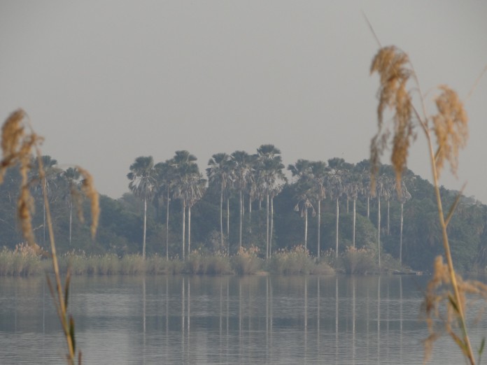 Liwonde National Park https://www.heleninwonderlust.co.uk/