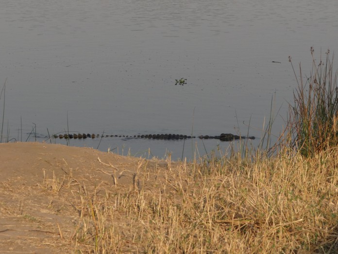 Liwonde National Park https://www.heleninwonderlust.co.uk/