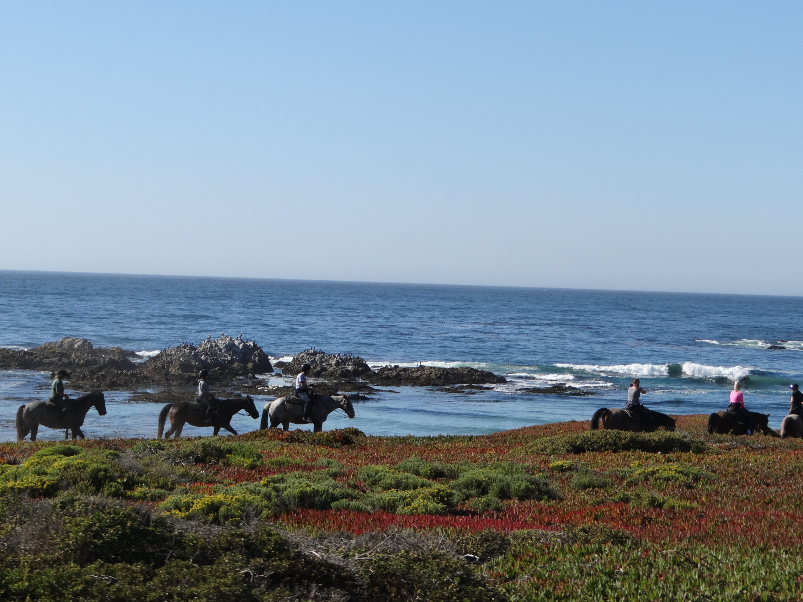 California Road Trip Itinerary - 17-mile drive horse riding