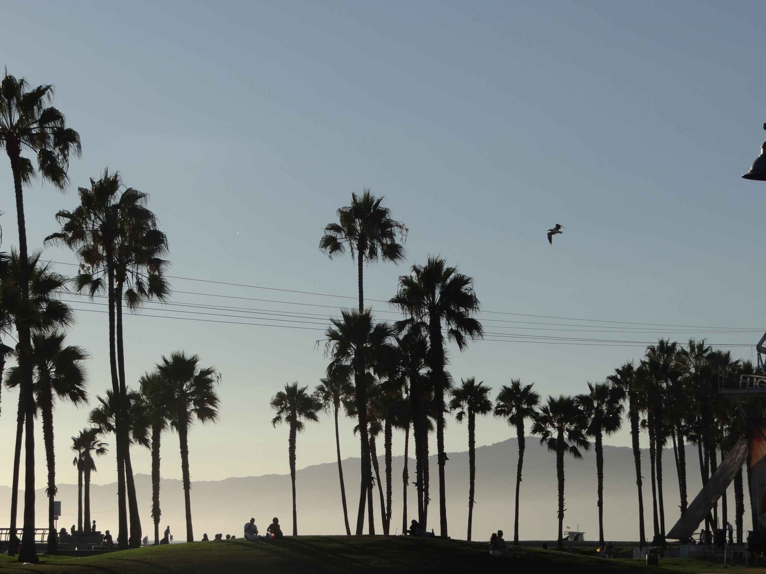 California Road Trip Itinerary - Venice Beach