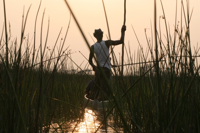 Okavango Delta Mokoro River