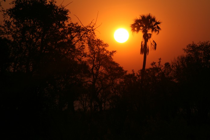 Okavango Delta