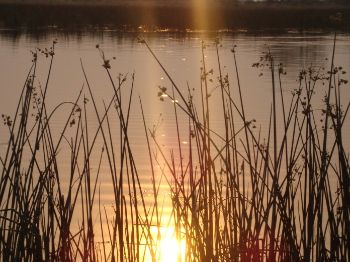 Okavango Delta Mokoro River