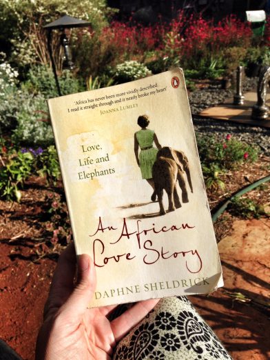 An African Love Story: Love, Life and Elephants