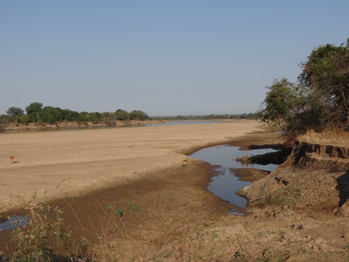 South Luangwa National Park Zambia (16)