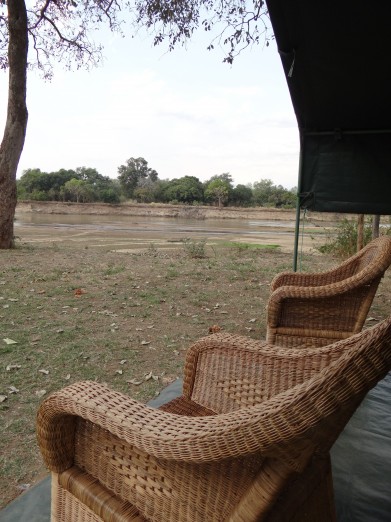 South Luangwa National Park Zambia (3)