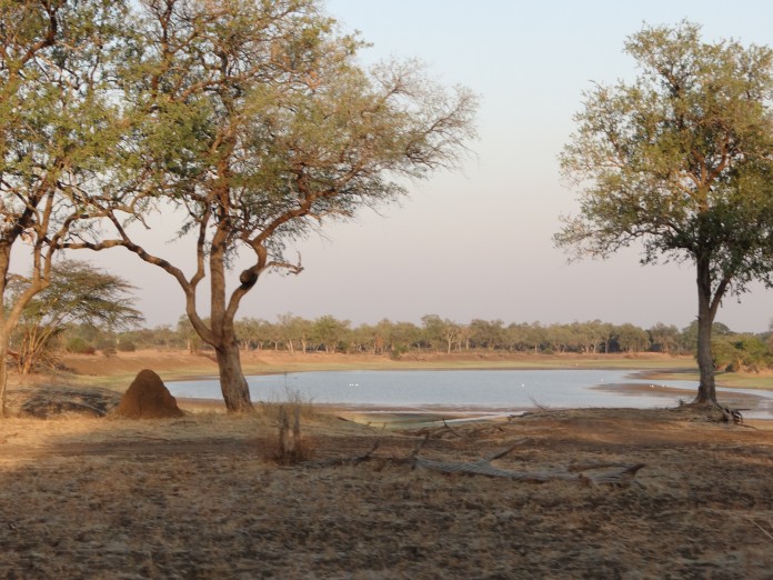 South Luangwa National Park Zambia (59)