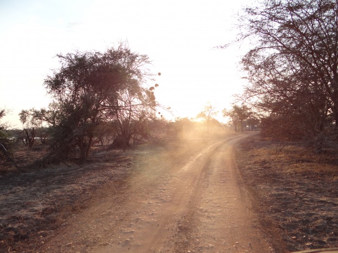 South Luangwa National Park Zambia (60)