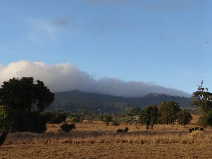 Ngorongoro Crater Campsite