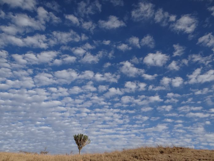 Blue skies over Africa