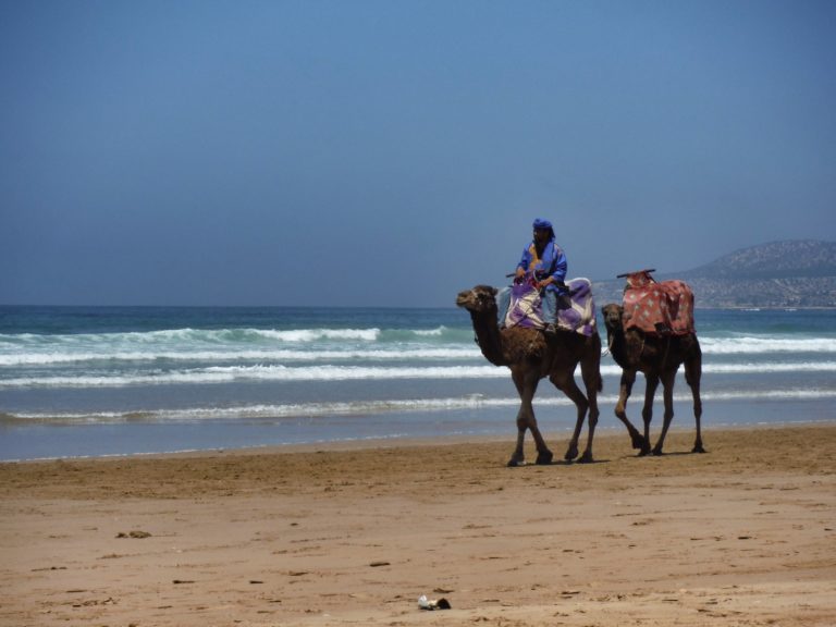 Morocco – Yoga, Surf, Sleep, Repeat