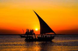 5 Week Kenya & Tanzania Budget