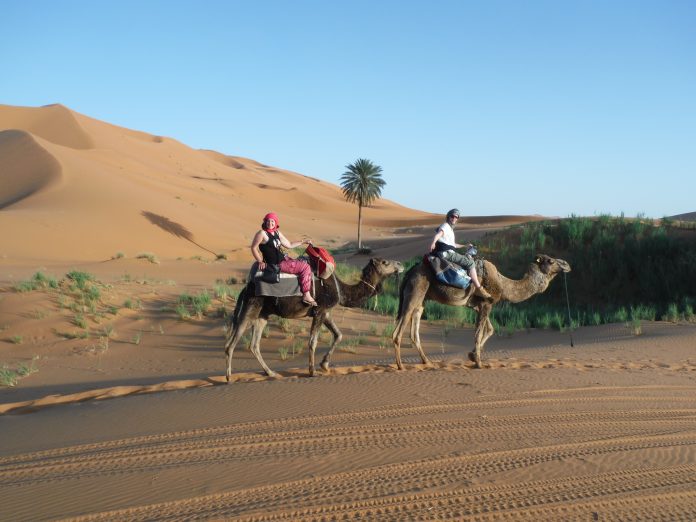 Camel ride in the Sahara Desert, Morocco.