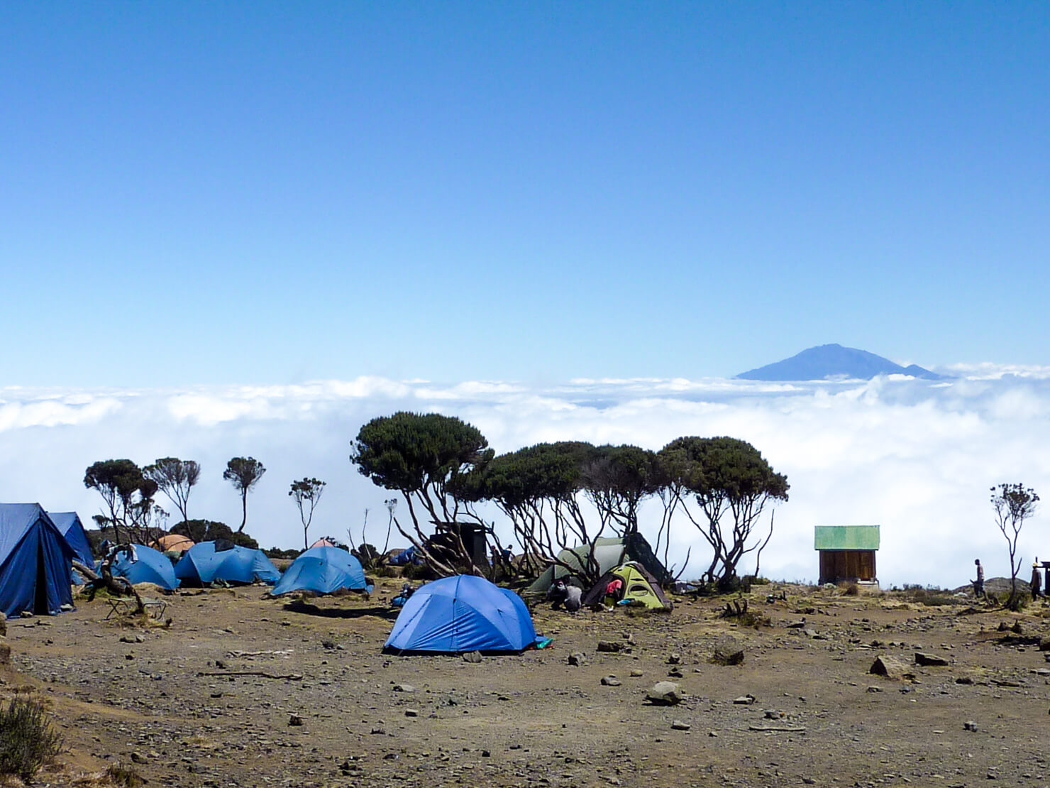 Climbing Kilimanjaro