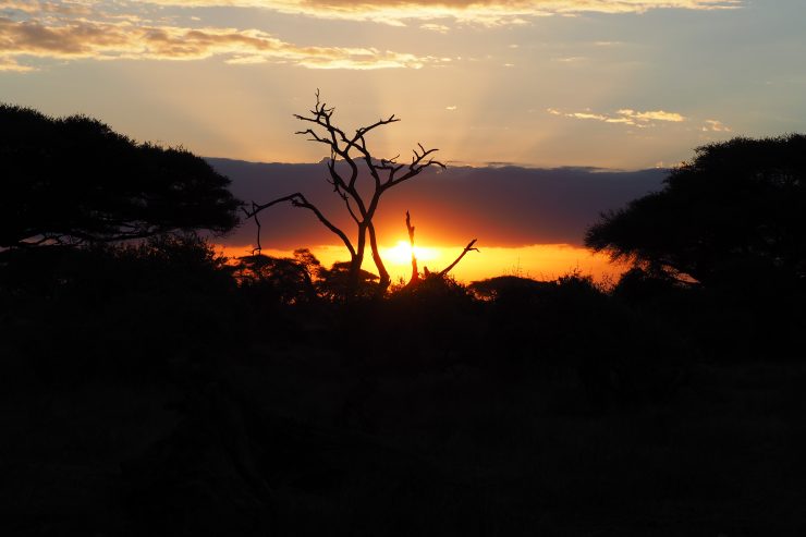 Sunset in Amboseli National Park, Kenya.