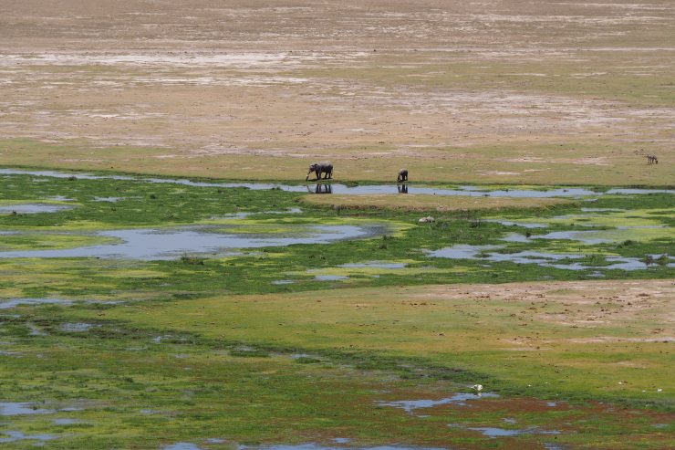 View from Observation Hill in Amboseli National Park