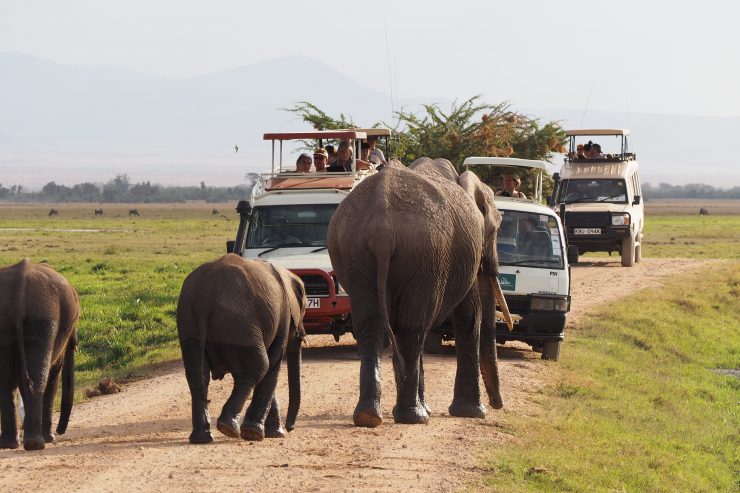 Spotting elephants on safari in Amboseli National Park in Kenya.