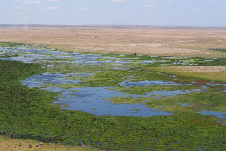 View from Observation Hill in Amboseli National Park.