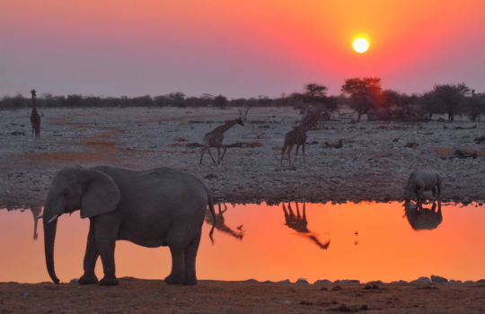 Namibia Group Tour