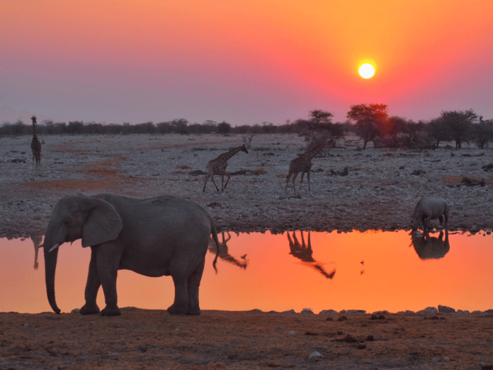 Namibia Group Tour