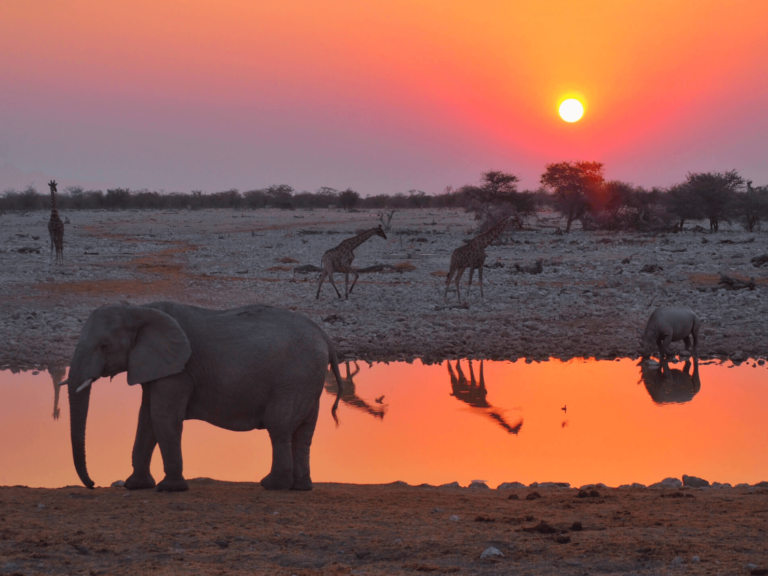 How To Plan Your Dream Trip To Africa (in 18 easy steps)