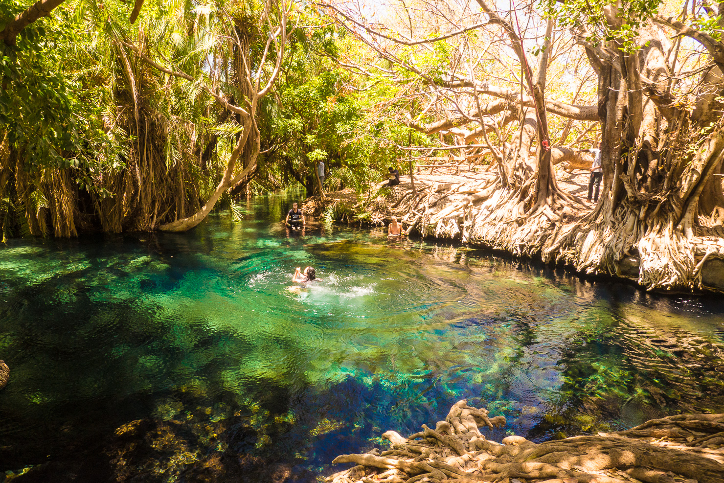 Kikuletwa Hot Springs