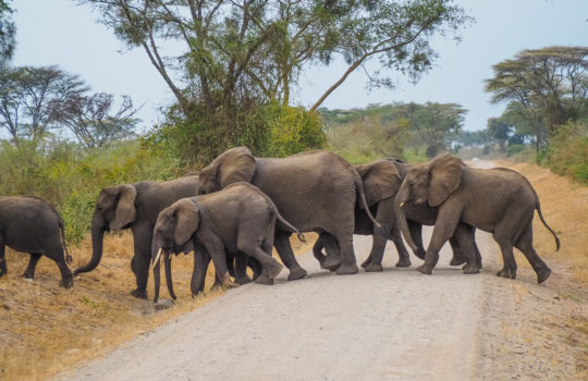 Queen Elizabeth National Park - Rock My Adventure Tours