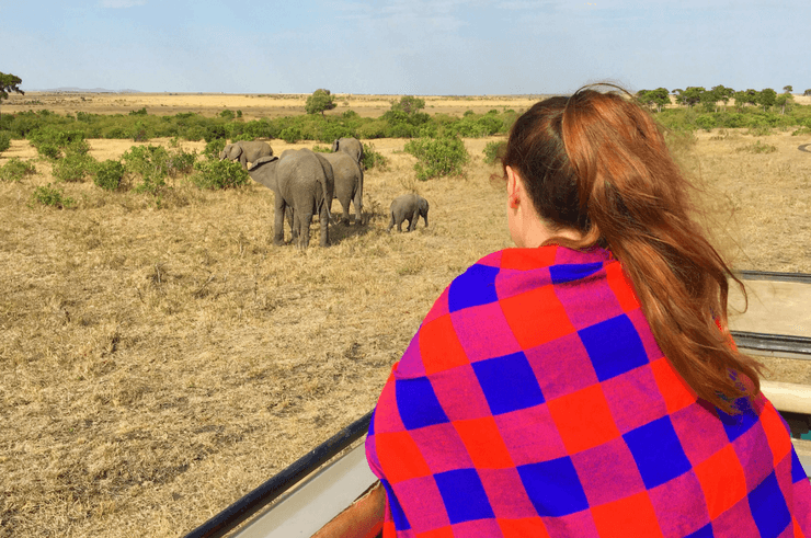 Watching elephants on safari in the Masai Mara.