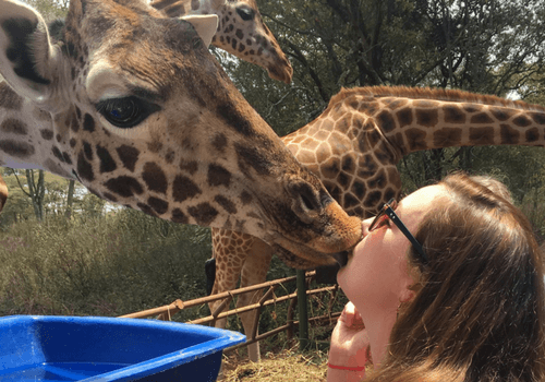 Kenya Small Group Africa Tour