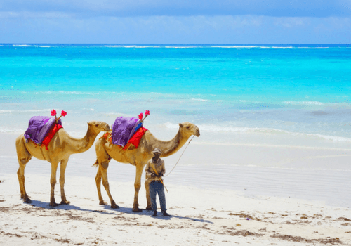 Kenya Small Group Africa Tour