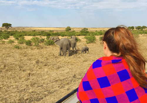Kenya Small Group Africa Tour