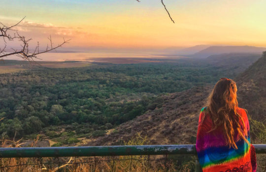 Lake Manyara Safari