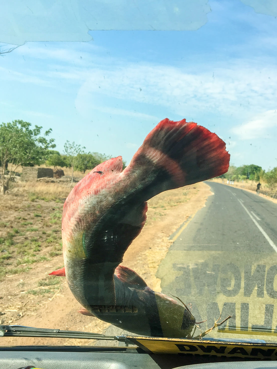 Malawi public mini bus