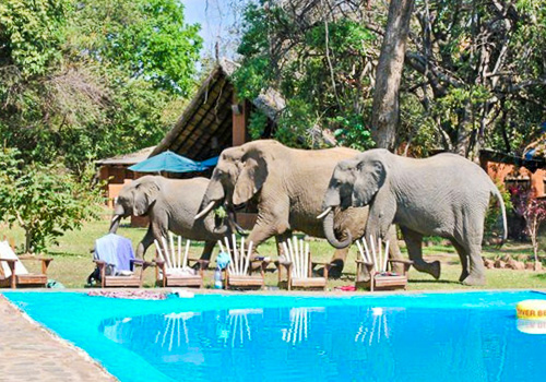 Malawi Zambia Botswana Tour