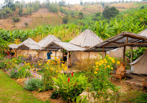 Uganda, Rwanda & DRC Tour