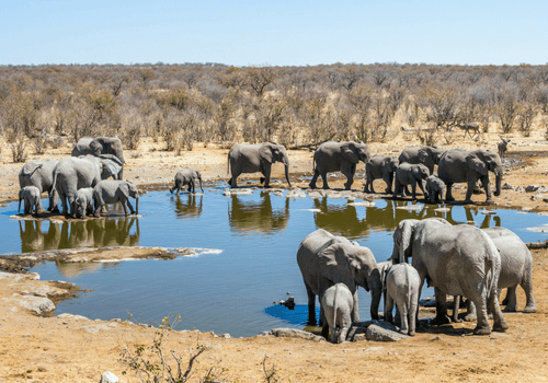 Namibia Small Group Tour