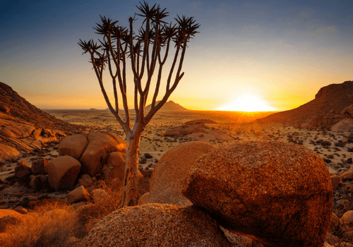 Namibia Small Group Tour