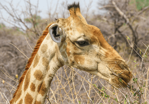 Namibia Small Group Tour