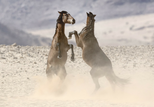 Namibia Small Group Tour