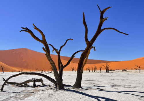 Namibia Small Group Tour