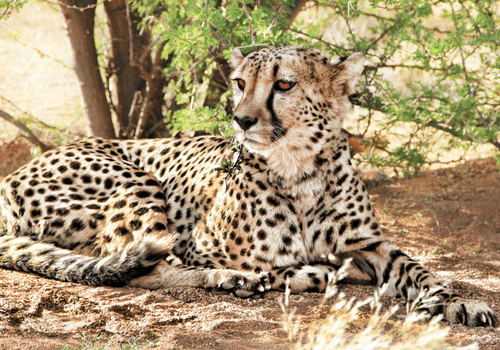 Namibia Small Group Tour