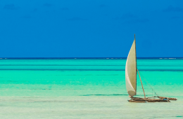 Zanzibar Travel Guide