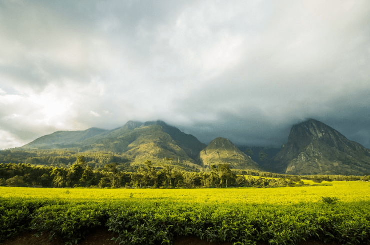 Mount Mulanje Malawi