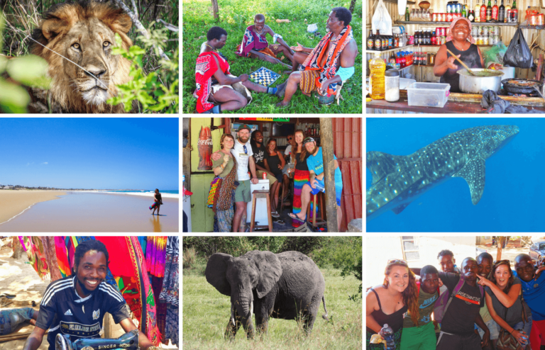 ANNOUNCING: The Rock My South Africa, Swaziland & Mozambique Adventure!